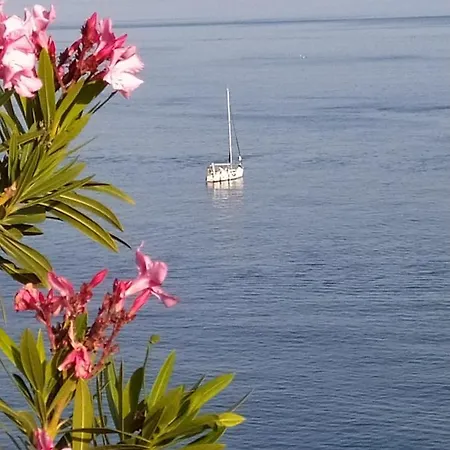 Las Palmeras Almuñécar Buitenkant foto