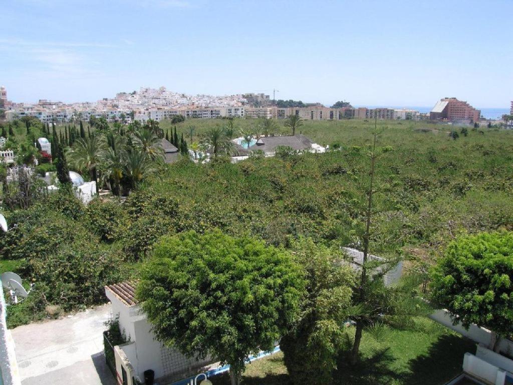 Palmeras Appartement *