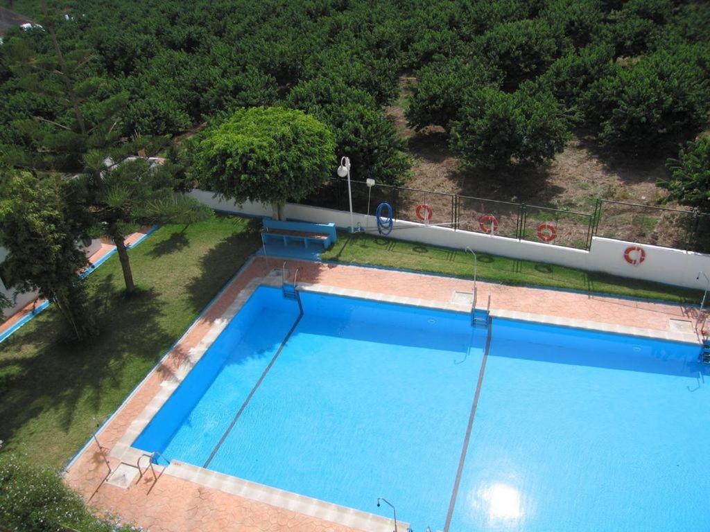 Palmeras
