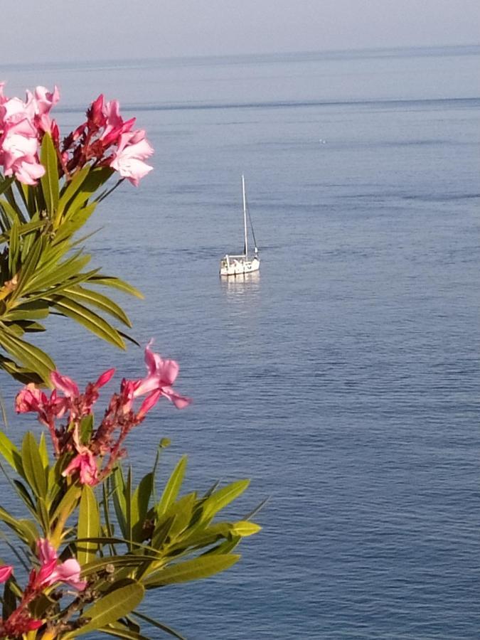 Palmeras * Almuñécar