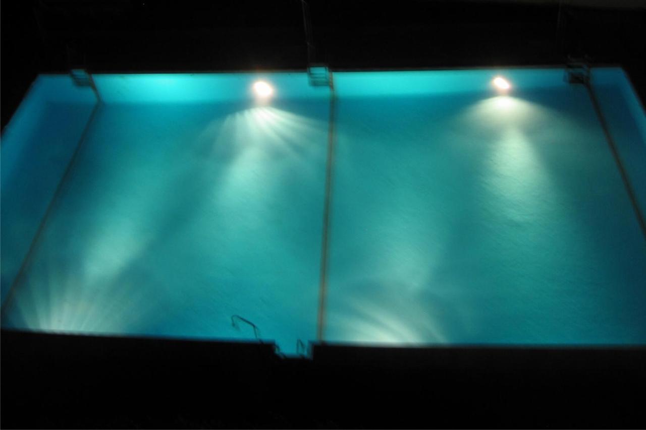 Palmeras
