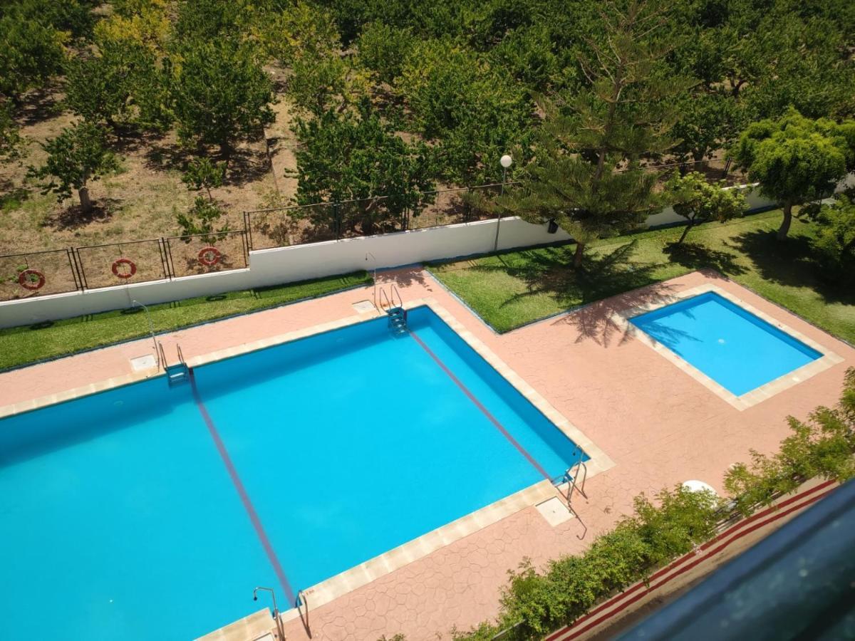 Palmeras