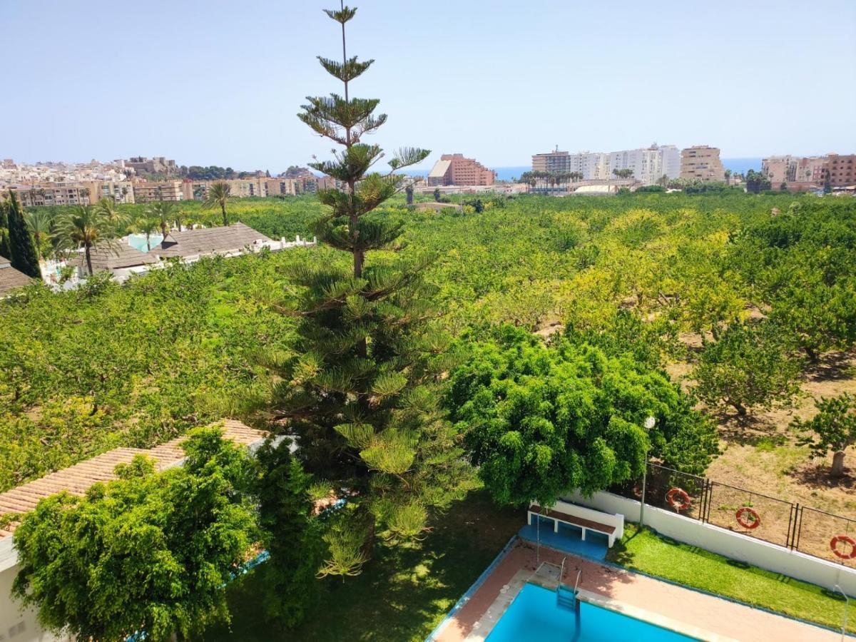 Palmeras *