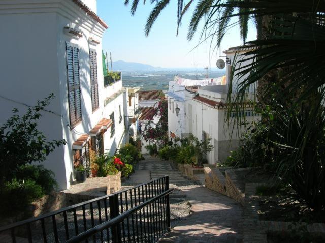 Palmeras