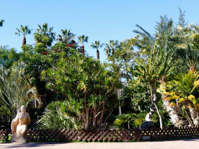 Palmeras * Almuñécar